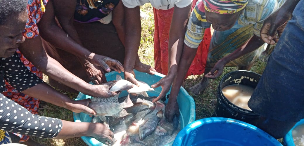 Economic Empowerment